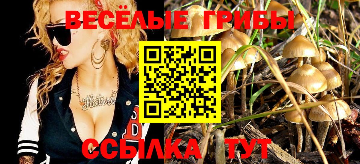 Новоалтайск  Галлюциногенные грибы мицелий  купить  сайты  Вход с VPN 